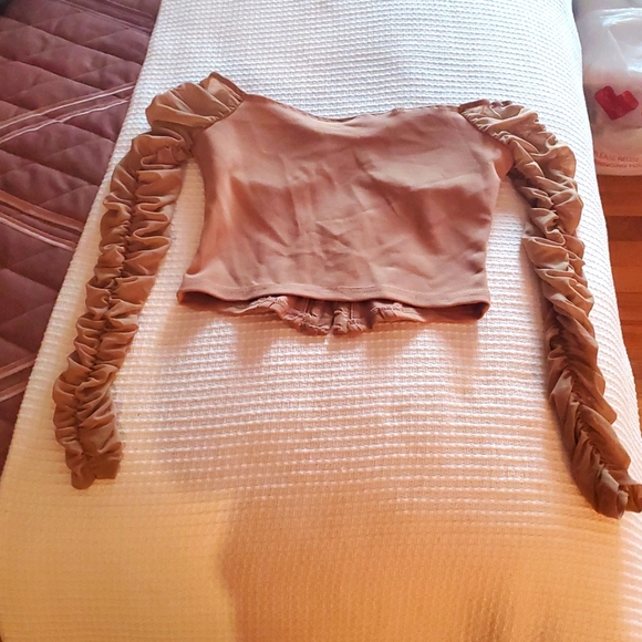 Windsor Elegant Tan Ruche Bustier Top - Picture 7 of 8